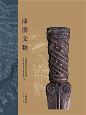 cover image of 漾濞文物